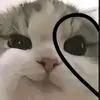 DulceCGz - @dulcecampos671 - TikTok