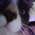 Dulce Cantú - @dulc3_2604 - Instagram