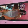 Dulce Colin - @dulcecolin03 - TikTok