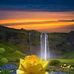 Dulce Colon - Facebook