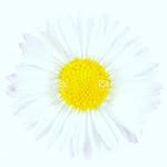 Dulce Cortes - @d.u.l.c.e.c.o.r.t.e.s - Instagram