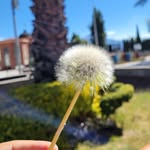 Bere Rdz - @dulcecoss - Instagram