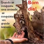 Dulce Alves Coutinho - @alvescoutinhodulce - Instagram