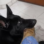 dulce hidalgo - @dulce.hidalgo - Instagram