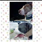 Dulce Jacome - Facebook
