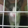 dulce sosa - @dulce_2013.2 - TikTok