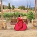 Dulce Turner - Facebook