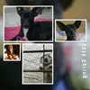 Dulce Velarde Cepeda - @dulcevelardecep - TikTok