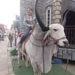 Dulce Zarate - @dulce.zarate.9634 - Instagram
