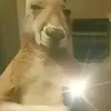 Dulce Zelaya - @dulce.zelaya155 - TikTok
