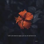 Dulcie John - @dulciejohn6 - Instagram