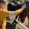 Dulcie Johnson - @dulciejohnson_123 - TikTok