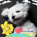 Dulcie Murphy - Facebook