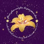 Dulcinea Herrera - Facebook