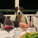Duncan Branch - @duncan_branch - Instagram