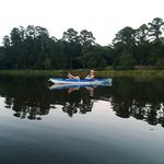 Duncan Bray - @duncanbray1 - Instagram