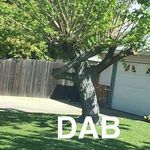 duncan cook - @duncancook2705 - Instagram