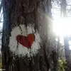 duncancooke735 - @duncancooke735 - TikTok