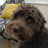 duncan crane - @duncan.crane - TikTok