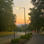 Duncan - @duncan.crowley - Instagram