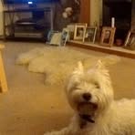 Duncan Edge - Facebook