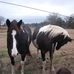 Duncan Evans - Facebook