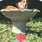 Duncan Fields - Facebook