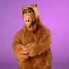 Duncan Griffiths - @dunkagriffo - TikTok