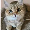 Duncan.Griffiths - @ugoodvdwd7m - TikTok