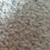 Duncan_hall - @duncan_hall - TikTok