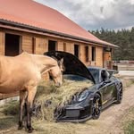 Duncan Henry - @duncanhenry39 - Instagram