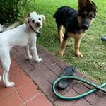 Duncan Hunter - @versanctus - Instagram