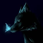 Duncan Hunter - @lonewolf149722 - Instagram