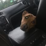 Duncan Keller - @duncan__keller - Instagram