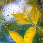 Duncan Lin - Facebook