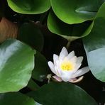 Duncan Lin - Facebook