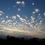 Duncan Lin - @linduncan - Instagram