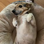 @private.duncanmcclellan - Instagram