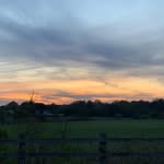 Duncan McGuire - @duncanmcguire2 - Instagram