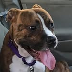 Duncan McGuire - @sweetduncs - Instagram