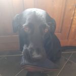 Duncan - @duncan_.milne - Instagram