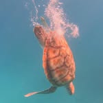 Duncan Potter - @dunpotski2 - Instagram
