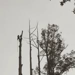 Duncan reid - @duncan.reid - Instagram