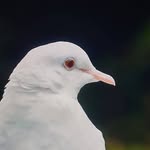 Duncan Reid - @duncan.reid.963 - Instagram