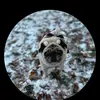 duncan reid - @duncan.reid02 - TikTok