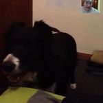 Duncan Sinclair - @sinclair.duncan - Instagram