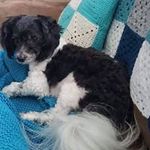 Duncan Sinclair - @duncan.sinclair.104 - Instagram