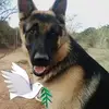 Stanley Duncan - @stanley.duncan - TikTok