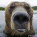 Duncan Thompson - Facebook