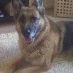 Duncan Thompson - @duncant365 - Instagram